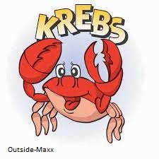 ClipClap-Deckel   Krebs